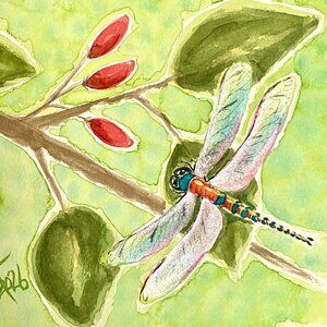 Dragonfly Dreams Original Art Watercolor Painting 11x14in Matted Frame Ready